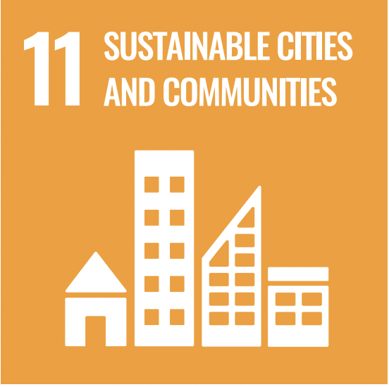 SDG11